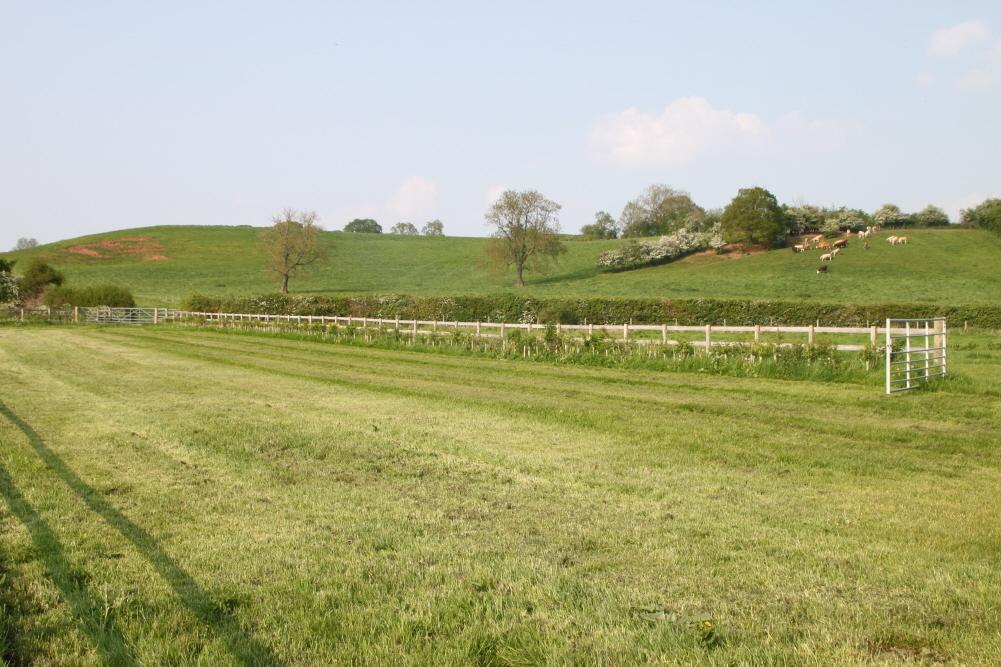 Wootton Park Wootton Wawen Exterior foto
